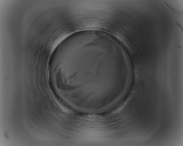 X0000100881077200807181253