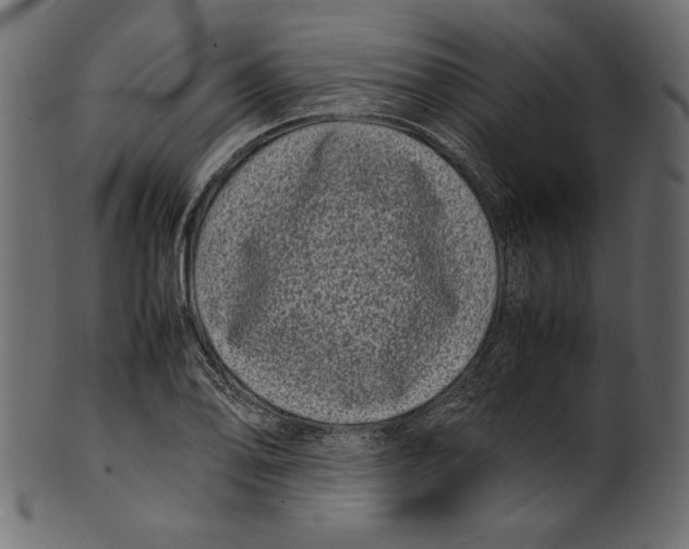 X0000100881078200807181253