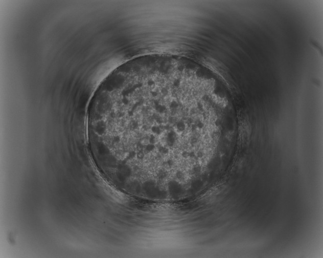 X0000100881079200807181253