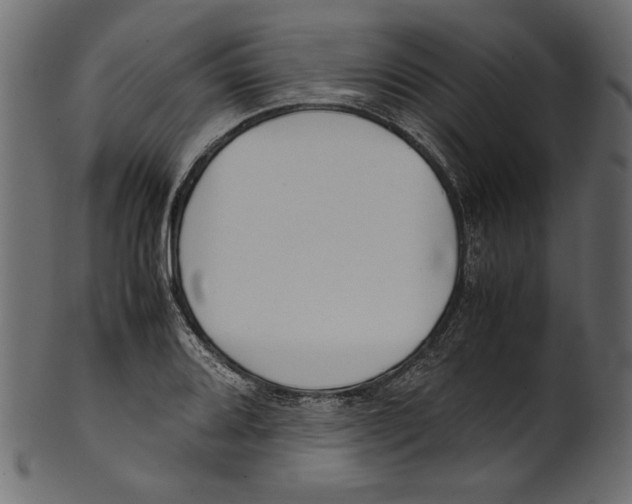 X0000100881080200807181253