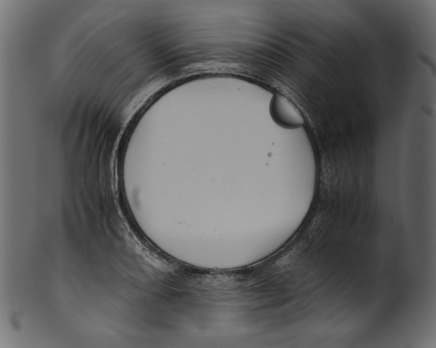 X0000100881082200807181253