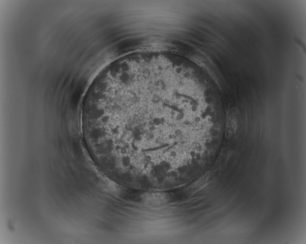 X0000100881083200807181253