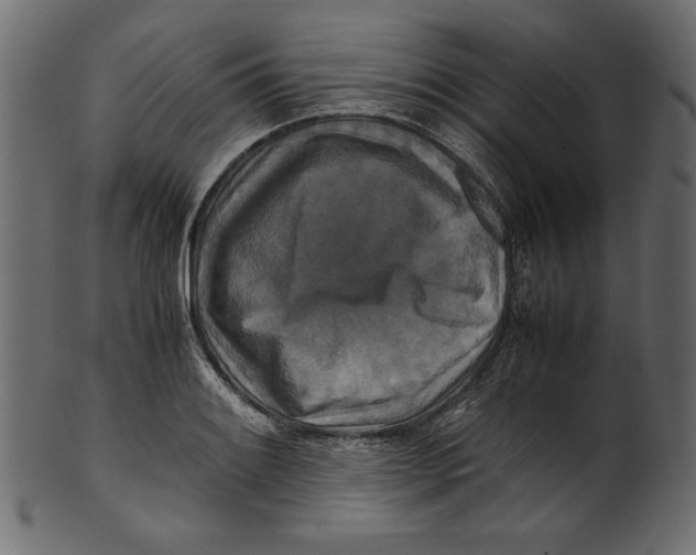 X0000100881084200807181253