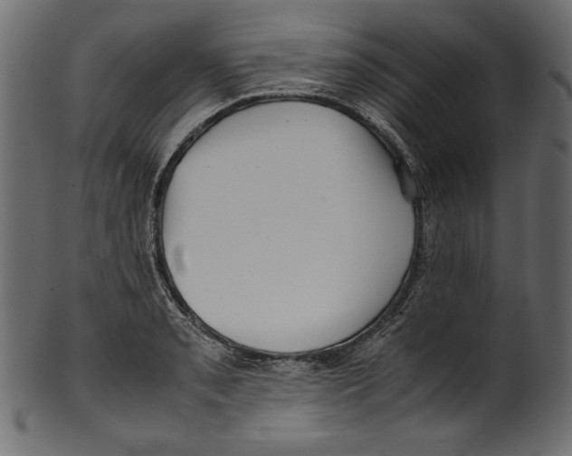 X0000100881085200807181253