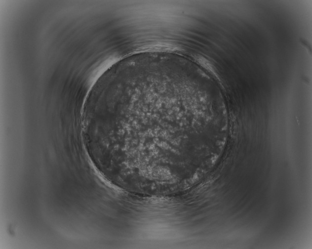 X0000100881087200807181253