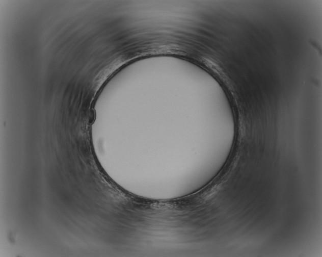 X0000100881089200807181253