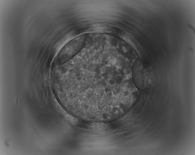 X0000100881091200807181253