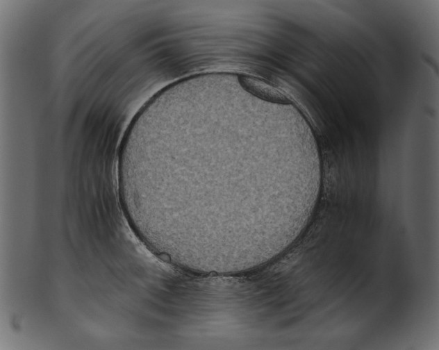 X0000100881092200807181253