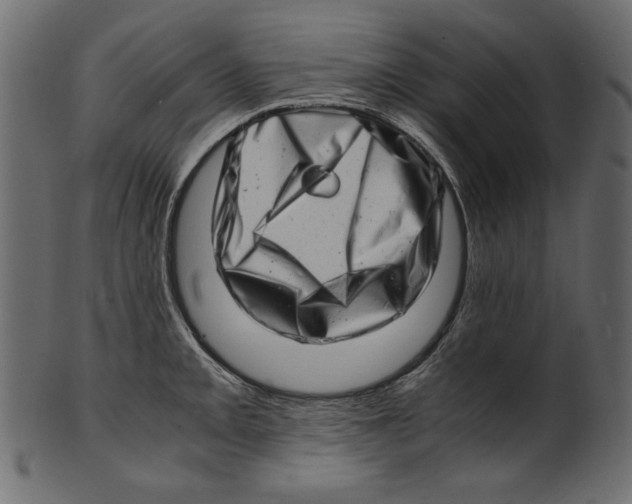 X0000100881093200807181253