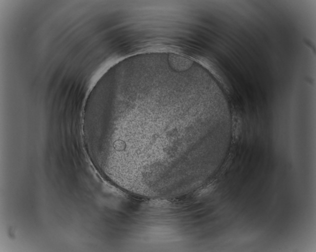 X0000100881094200807181253