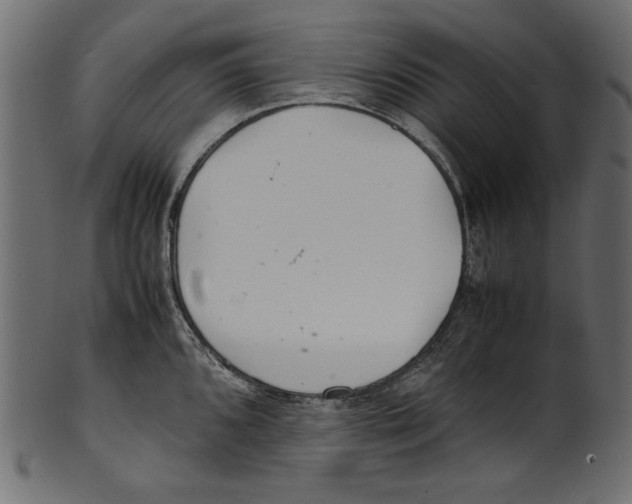 X0000100881096200807181253