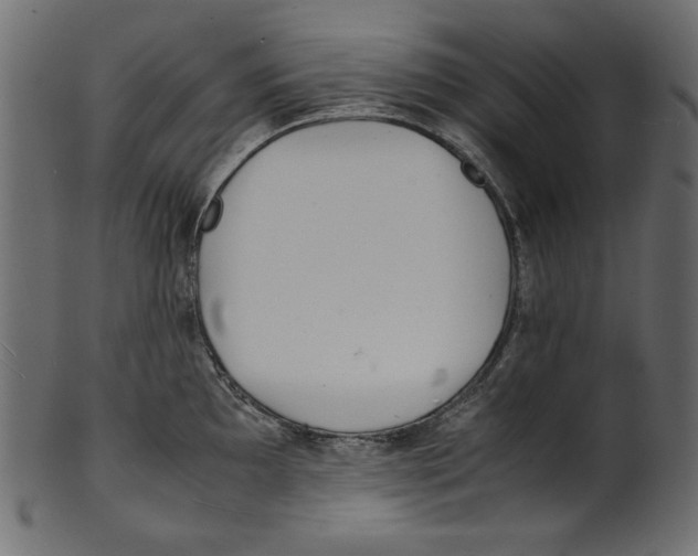 X0000100881097200807181253