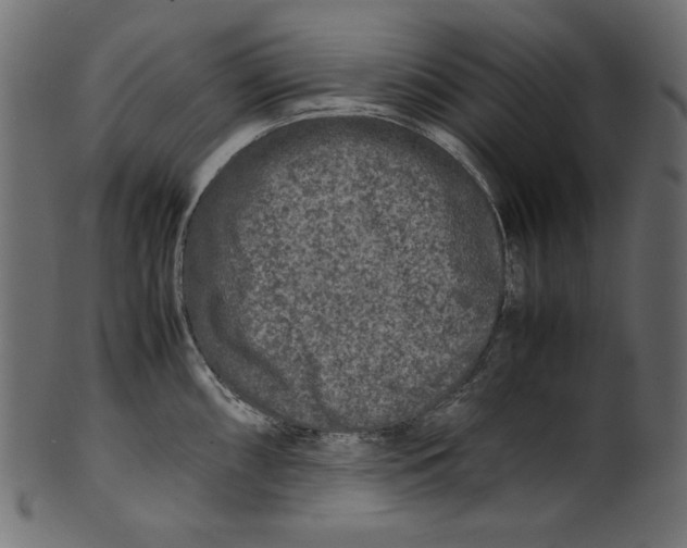 X0000100881098200807181253