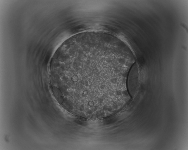 X0000100881099200807181253