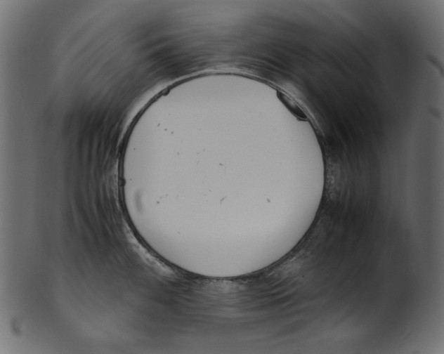 X0000100881100200807181253