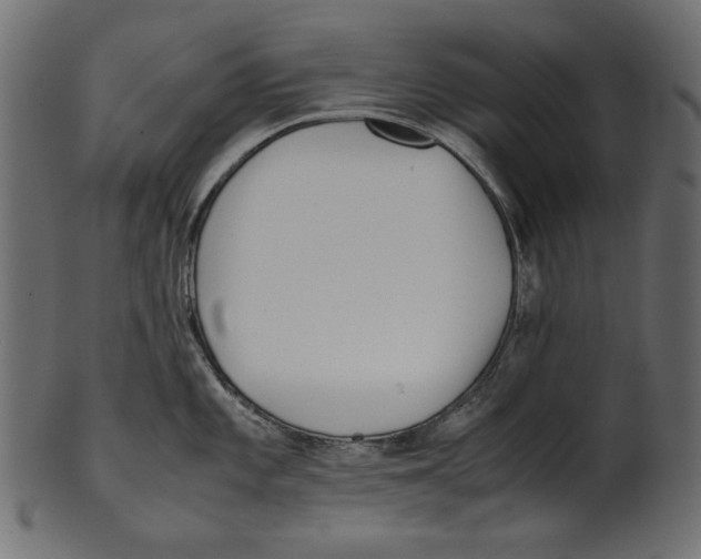 X0000100881101200807181253