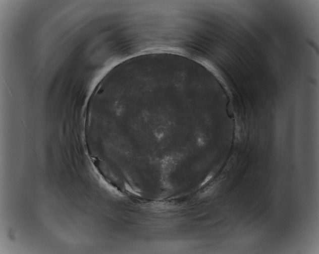 X0000100881102200807181253