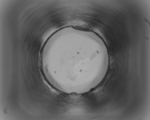 X0000100881103200807181253