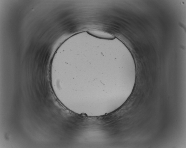 X0000100881104200807181253