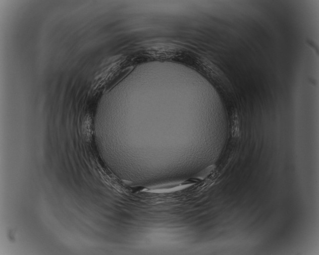 X0000100881108200807181252