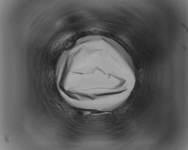 X0000100881111200807181252