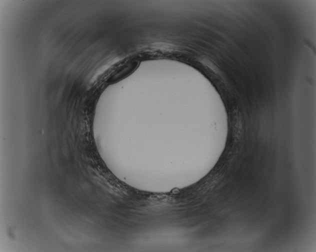 X0000100881112200807181252