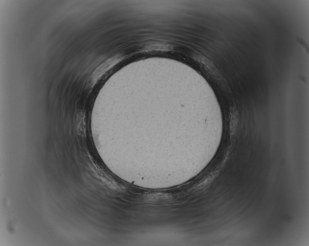 X0000100881113200807181252