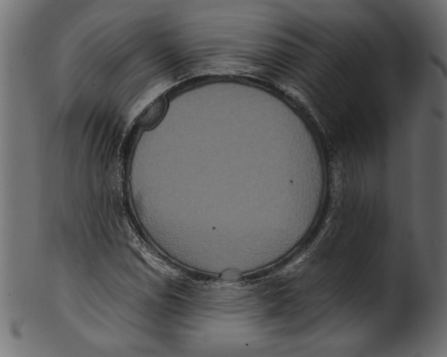 X0000100881114200807181252