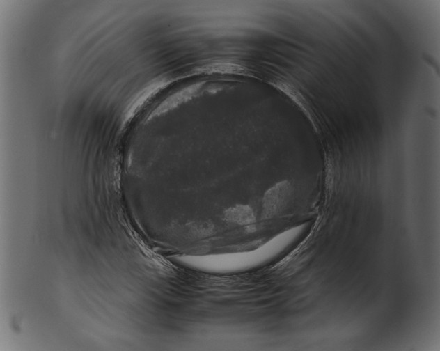 X0000100881115200807181252