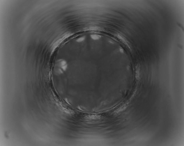 X0000100881117200807181252