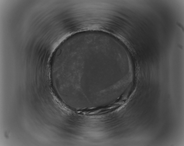 X0000100881118200807181252