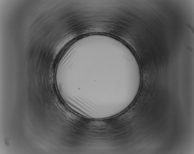 X0000100881119200807181253