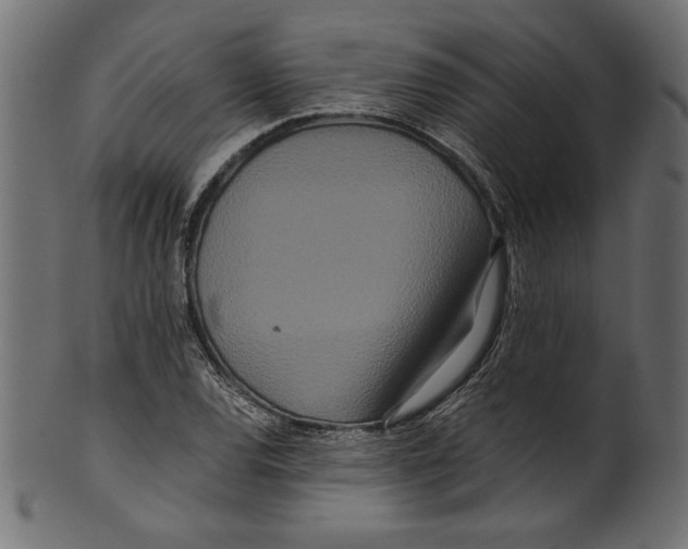 X0000100881120200807181253