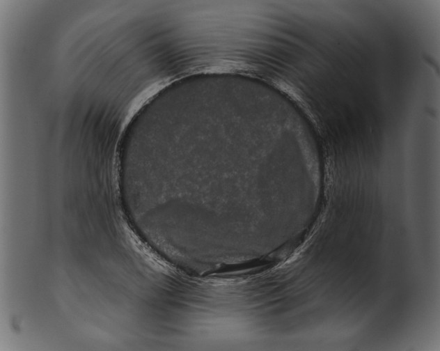 X0000100881122200807181253