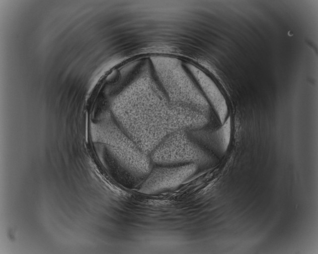 X0000100881123200807181253