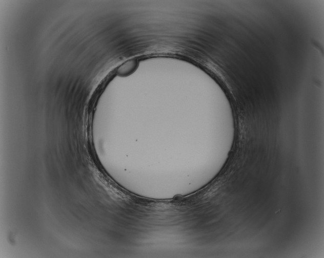 X0000100881124200807181253