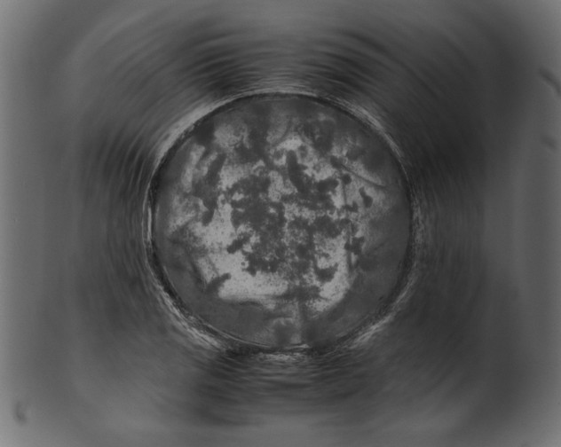 X0000100881125200807181253