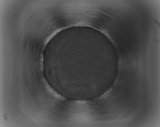 X0000100881126200807181253