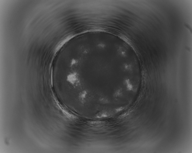 X0000100881127200807181253