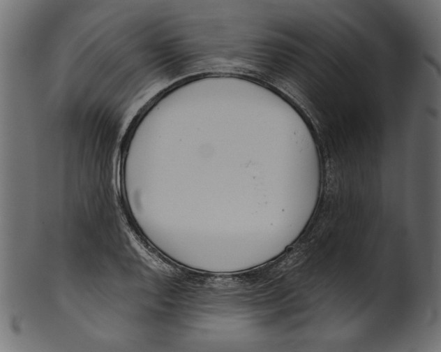 X0000100881128200807181253