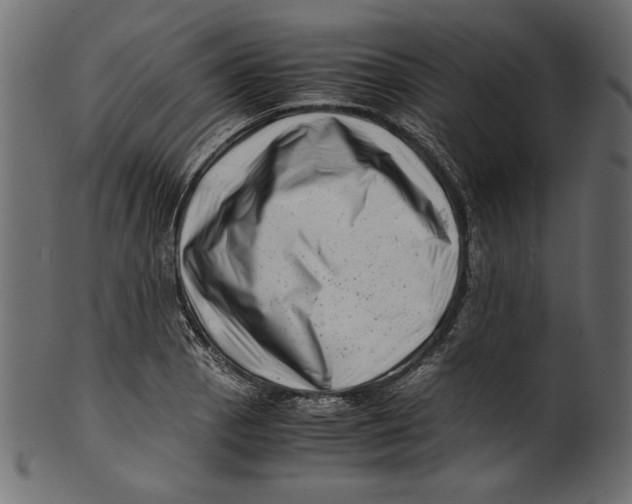 X0000100881129200807181253