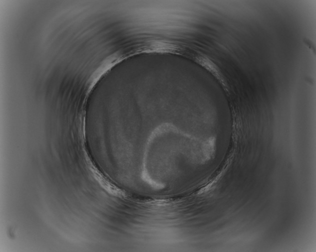 X0000100881130200807181253