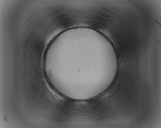 X0000100881135200807181253