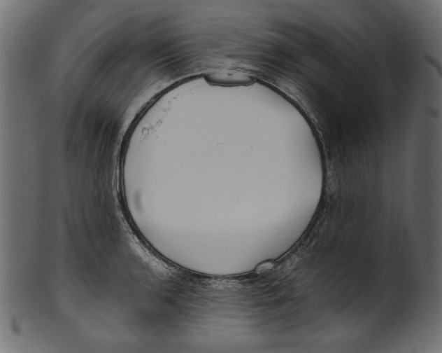 X0000100881136200807181253