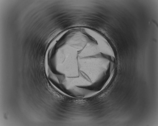 X0000100881137200807181253