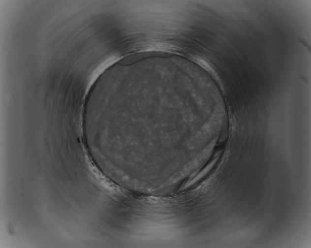 X0000100881138200807181253