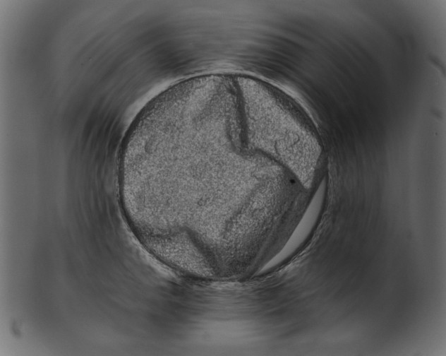 X0000100881142200807181253