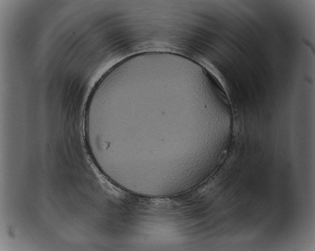 X0000100881144200807181253