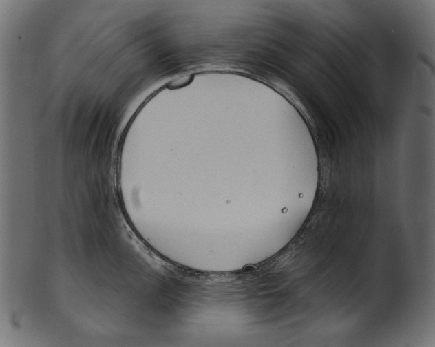 X0000100881148200807181253