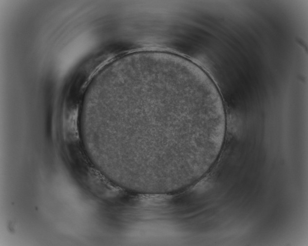 X0000100881150200807181253